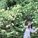 青岛旅游 缩略图 13