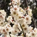 青岛旅游 缩略图 2