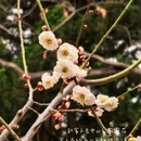 青岛旅游 缩略图 1