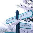 中山旅游 缩略图 7
