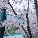 中山旅游 缩略图 15