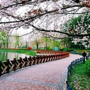 中山旅游 缩略图 12