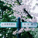 中山旅游 缩略图 13