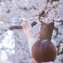 青岛旅游 缩略图 2