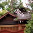 成都旅游 缩略图 4