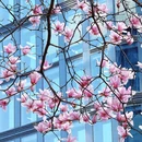 成都旅游 缩略图 13
