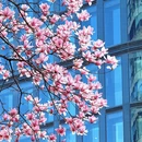 成都旅游 缩略图 10