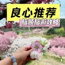 大连旅游 缩略图 1