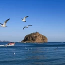 大连旅游 缩略图 4