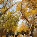 大连旅游 缩略图 15