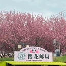 大连旅游 缩略图 16