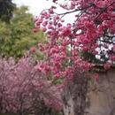 大连旅游 缩略图 3