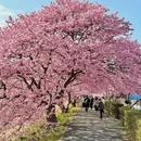 大连旅游 缩略图 2