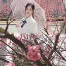 大连旅游 缩略图 5