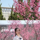 大连旅游 缩略图 6