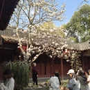 成都旅游 缩略图 7