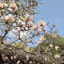 成都旅游 缩略图 1