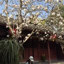 成都旅游 缩略图 8