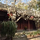 成都旅游 缩略图 14