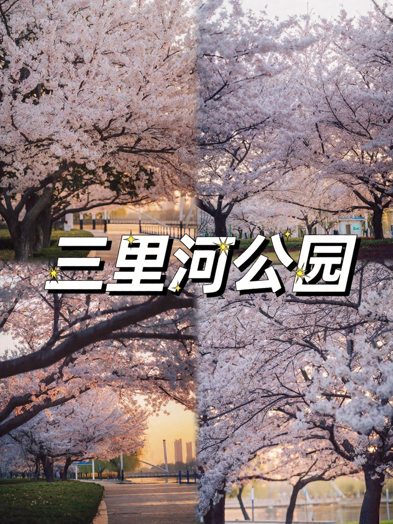 青岛旅游