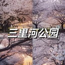 青岛旅游 缩略图 1