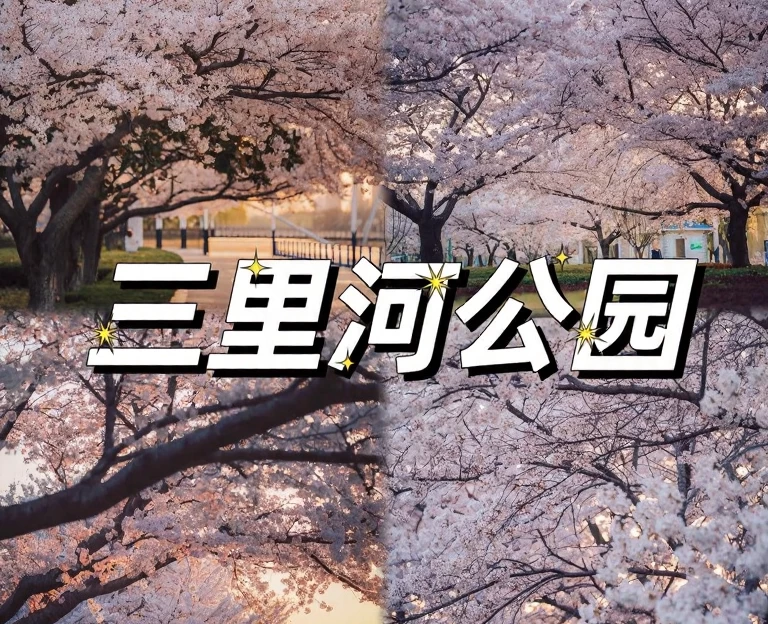 青岛旅游 1