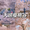 青岛旅游 缩略图 2