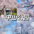 青岛旅游 缩略图 4