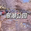 青岛旅游 缩略图 3