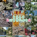 青岛旅游 缩略图 1