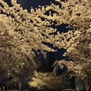 青岛旅游 缩略图 2