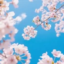 青岛旅游 缩略图 2