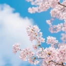 青岛旅游 缩略图 5