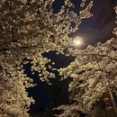 青岛旅游 缩略图 3