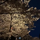 青岛旅游 缩略图 4