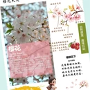青岛旅游 缩略图 2