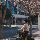 成都旅游 缩略图 1