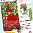 青岛旅游 缩略图 5