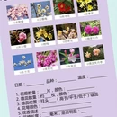 青岛旅游 缩略图 3