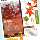 青岛旅游 缩略图 4