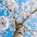 青岛旅游 缩略图 7