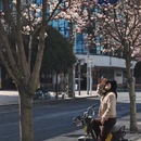 成都旅游 缩略图 2