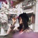 成都旅游 缩略图 7