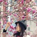 成都旅游 缩略图 15