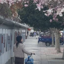 成都旅游 缩略图 17