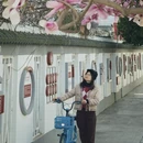 成都旅游 缩略图 13
