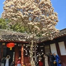 成都旅游 缩略图 9