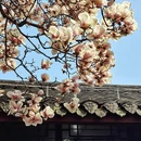 成都旅游 缩略图 6