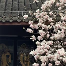成都旅游 缩略图 2