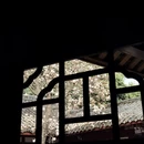 成都旅游 缩略图 4